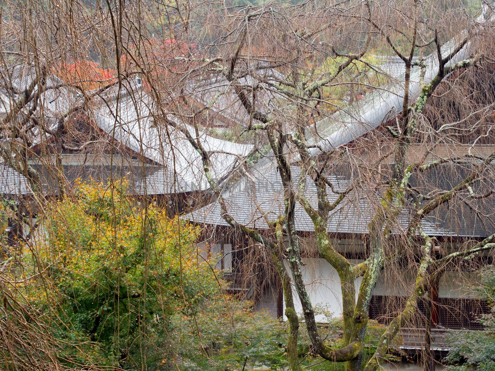 traditional architecture in kyoto japan  by zkruger