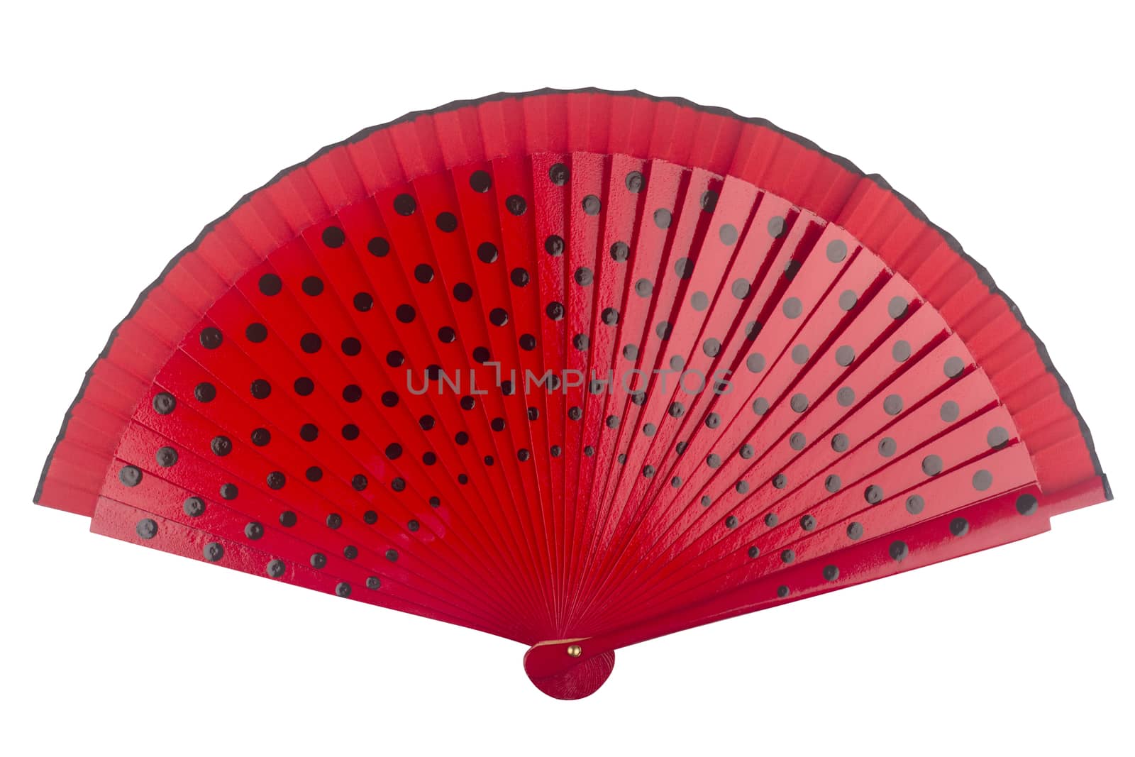 Open red fan with black dots isolated on white background