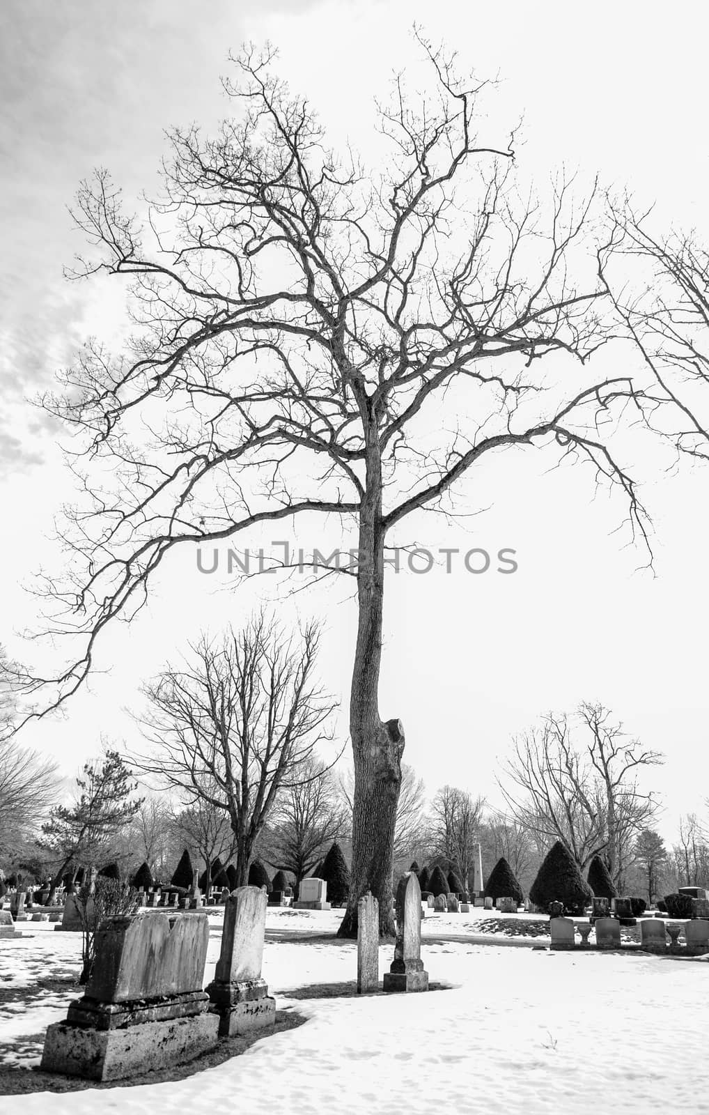 early american gravestones and cemetery  covered in snow