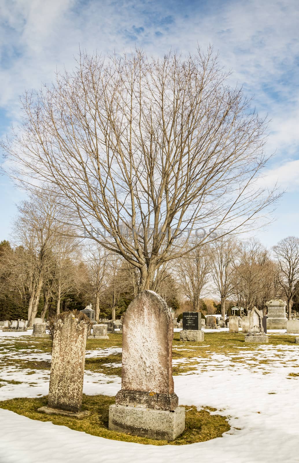 early american gravestones and cemetery  covered in snow