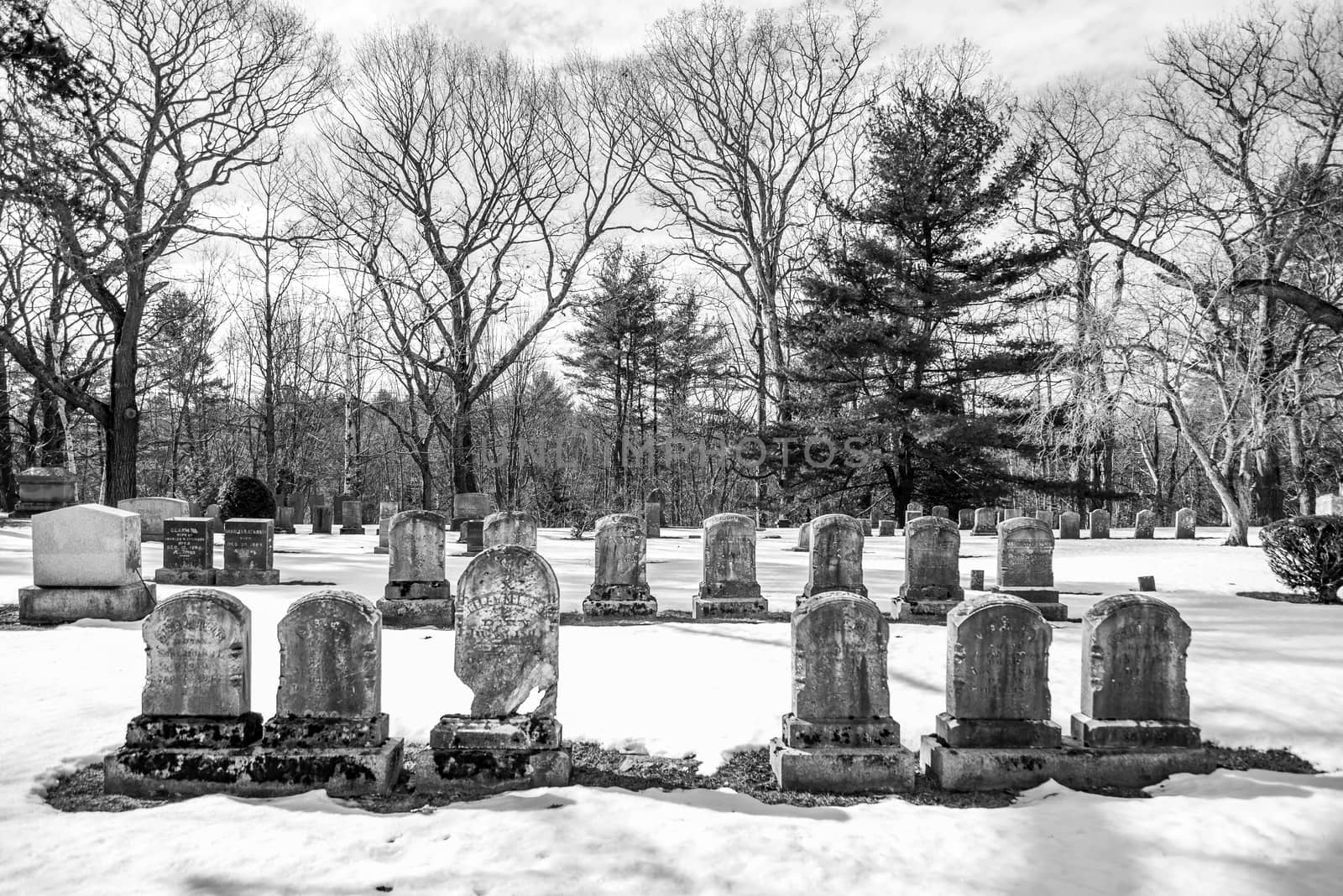 early american gravestones and cemetery  covered in snow