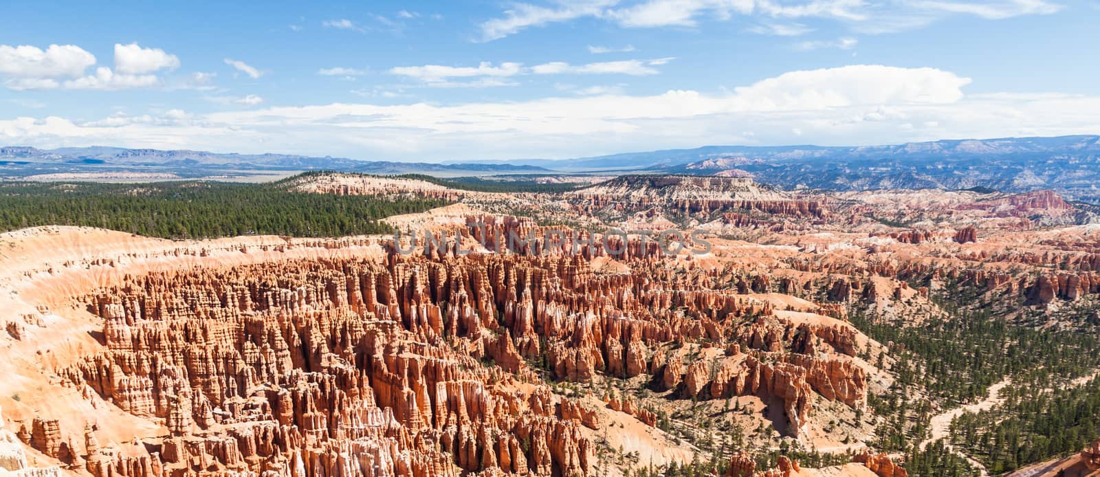 Orange colours in this iconic view of Bryce Canyon National Park, USA