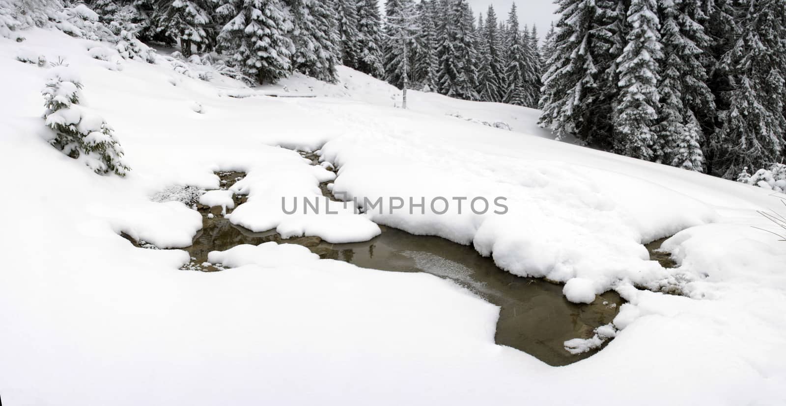Mountain river in winter landscape. by dolnikow