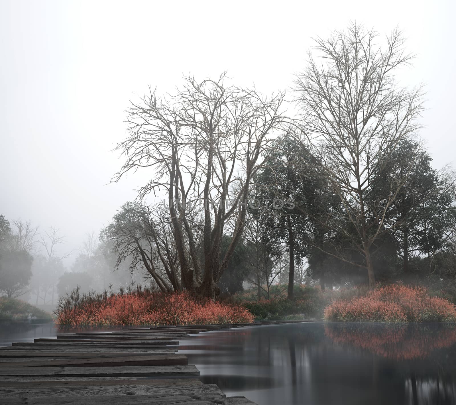 Autumn vintage landscape with old woods and lake