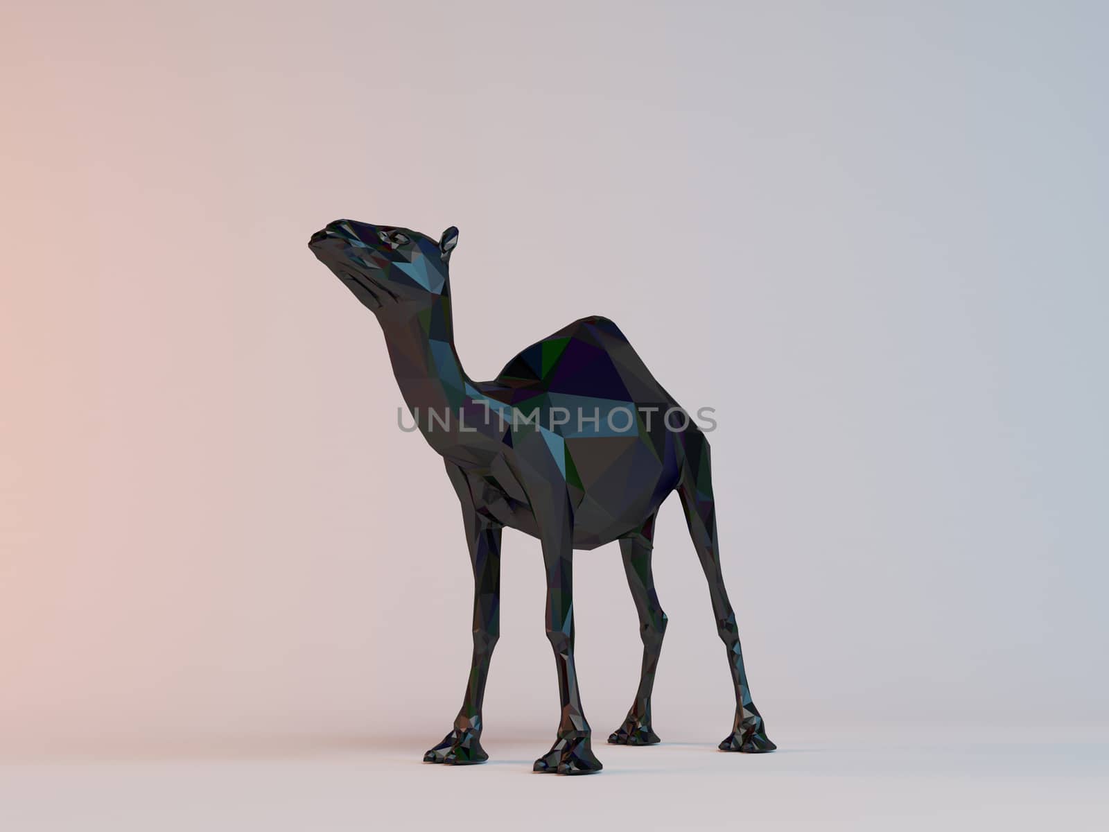 3D black low poly (camel) by fares139