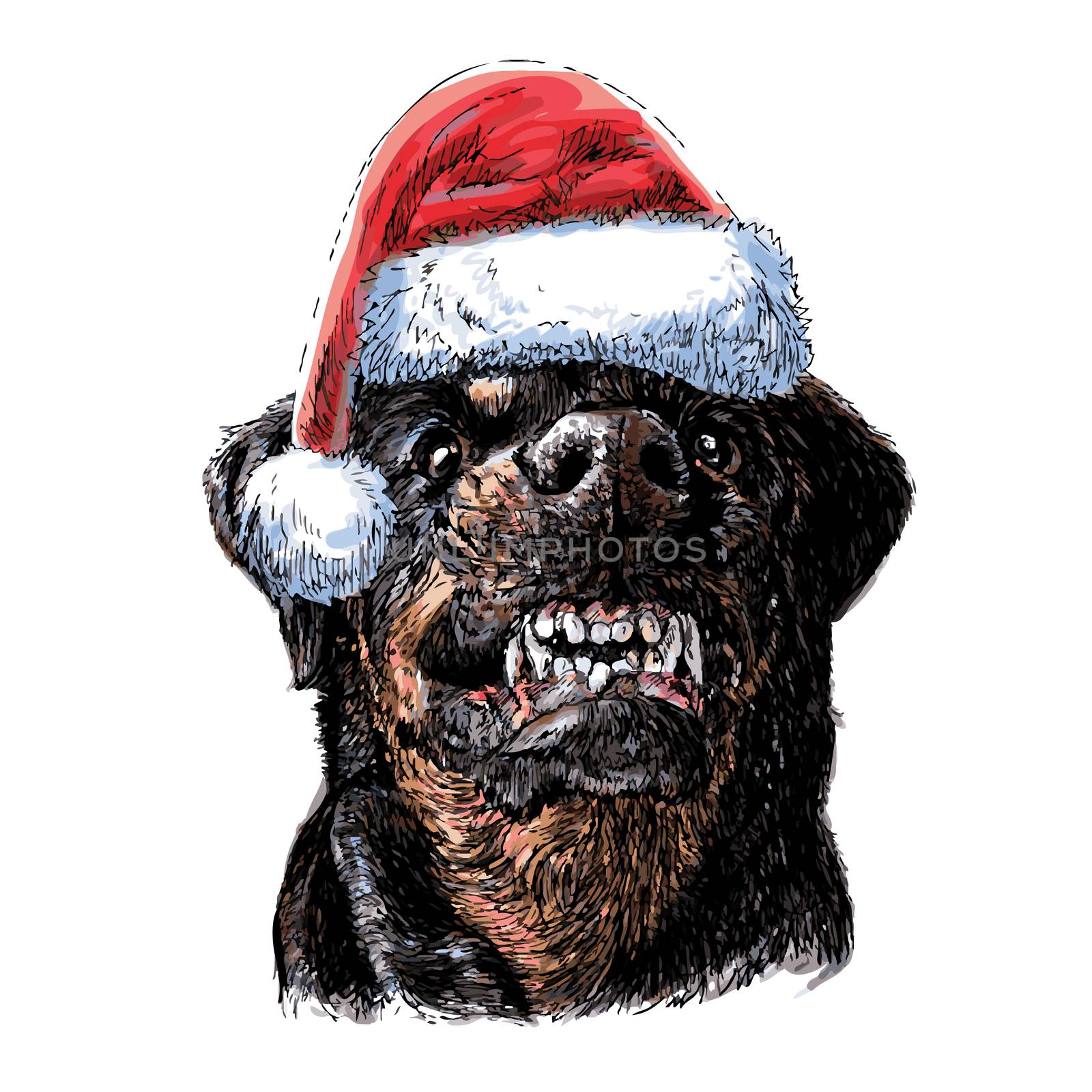 Angry Rottweiler with santa claus hat hand drawn vector , use for christmas background