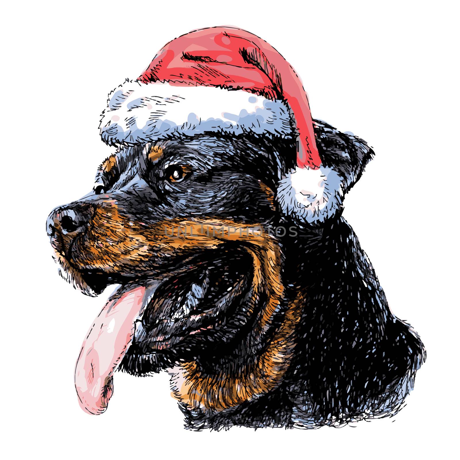 Rottweiler with santa claus hat hand drawn vector , use for christmas background