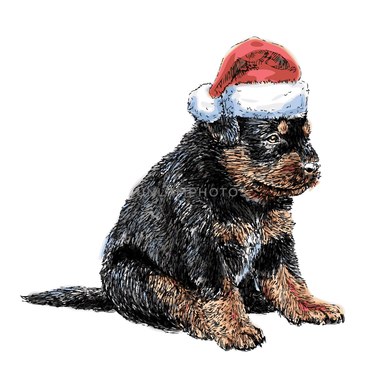 Puppy Rottweiler with santa claus hat hand drawn vector , use for christmas background