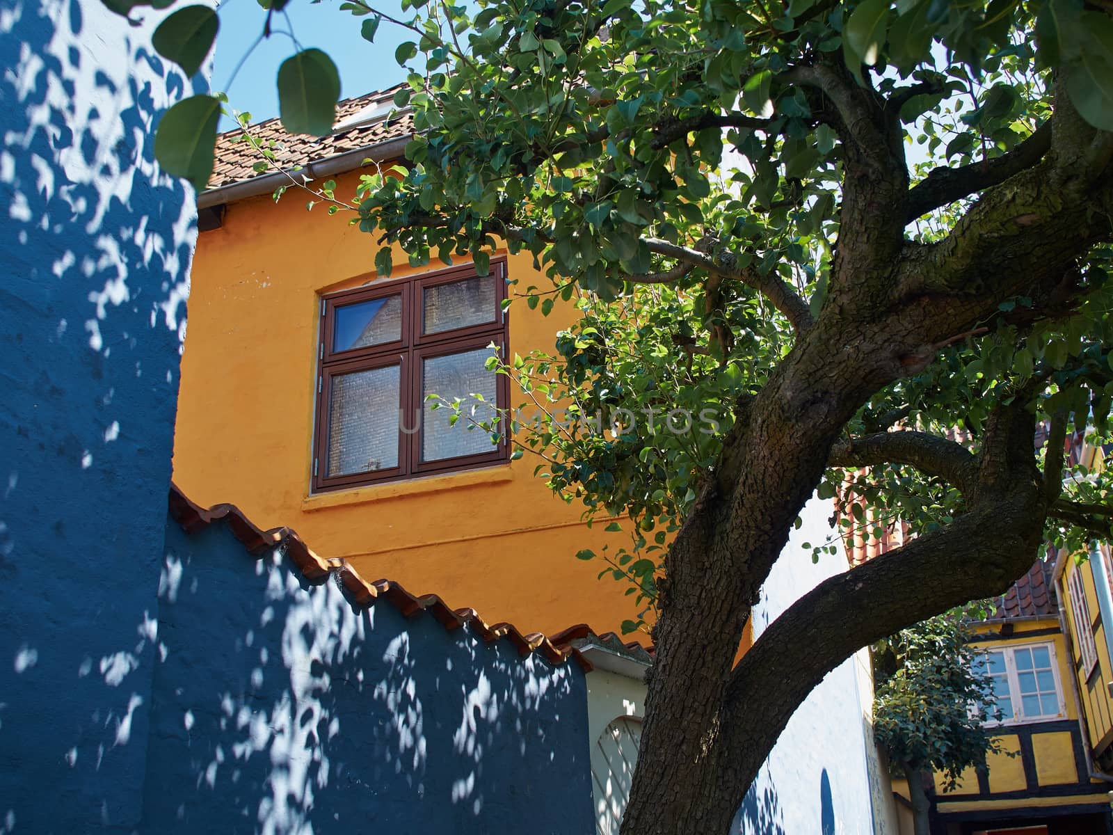 Typical small beautiful street with old traditional Danish style houses Faaborg Denmark