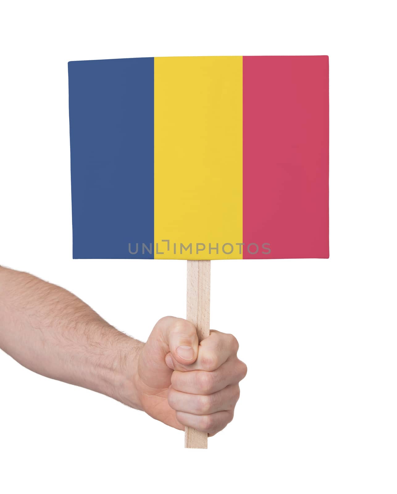 Hand holding small card - Flag of Romania by michaklootwijk