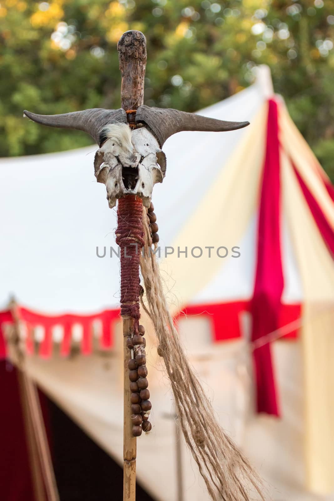 SALIR, PORTUGAL - 11 JULY: People, street performers, artists, mood and color on the Salir do Tempo medieval festival held on Salir, Portugal in July 2015.