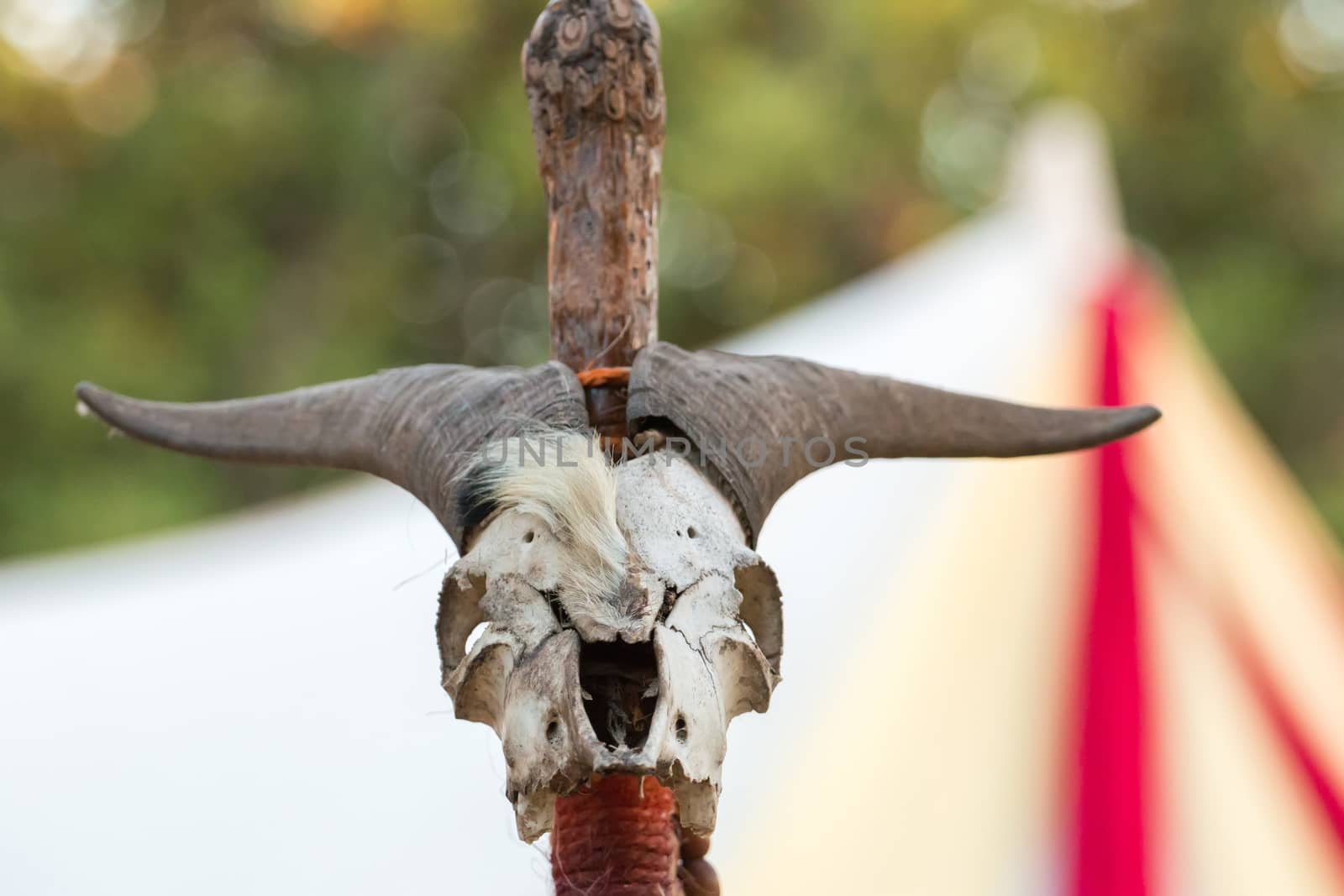 SALIR, PORTUGAL - 11 JULY: People, street performers, artists, mood and color on the Salir do Tempo medieval festival held on Salir, Portugal in July 2015.