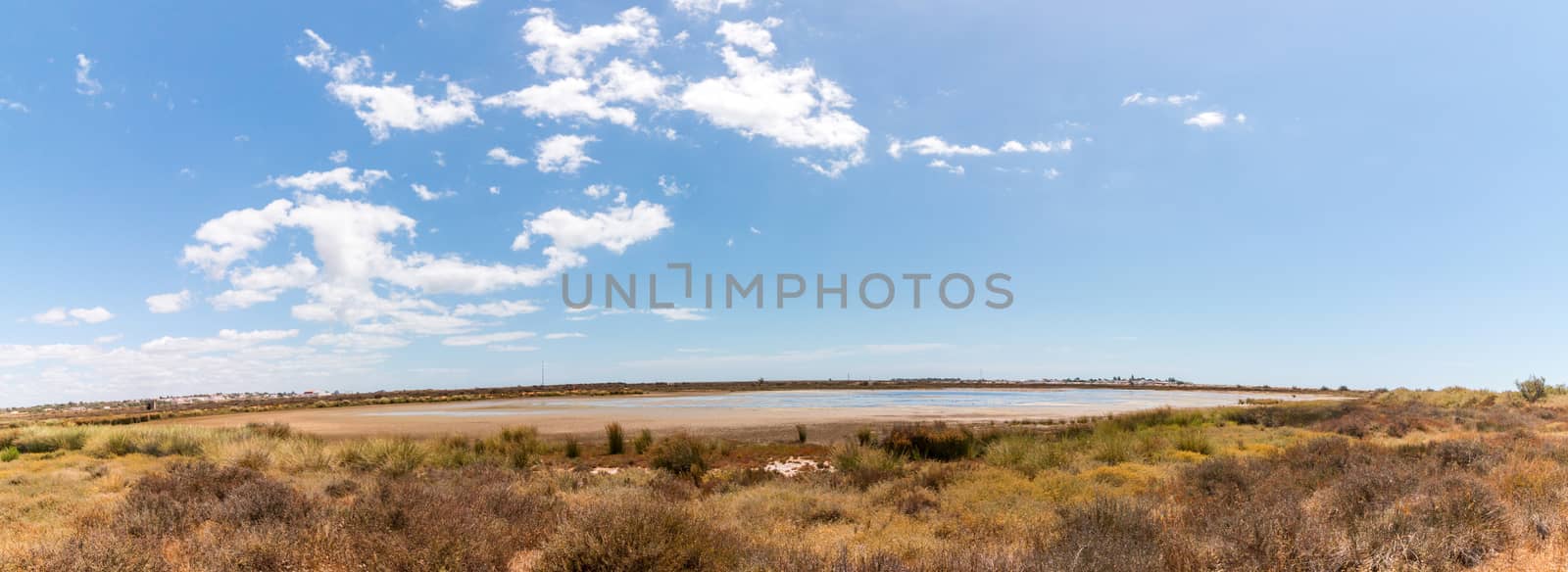 Ria Formosa marshlands located in the Algarve, Portugal by membio