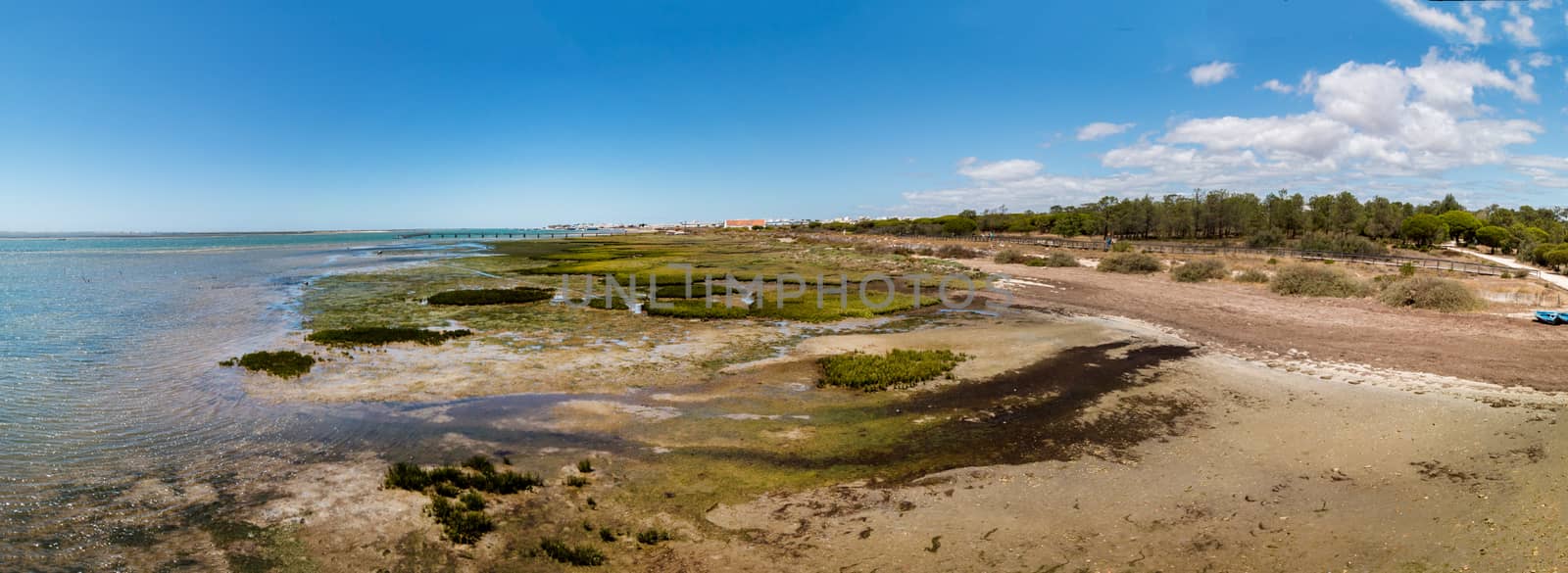 Ria Formosa marshlands located in the Algarve, Portugal by membio