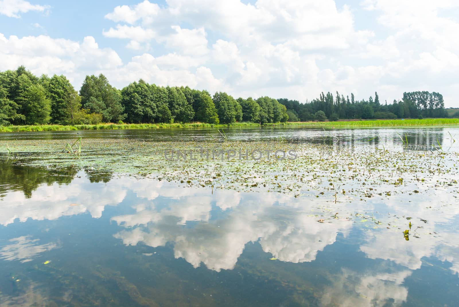 landscape with natural river, nature series