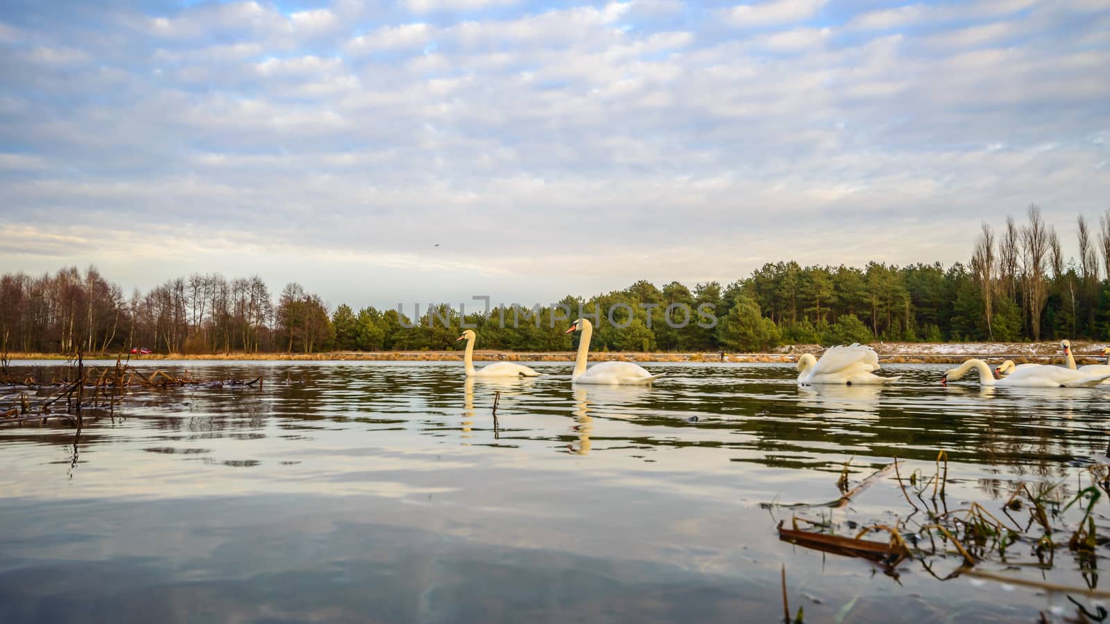 landscape with natural river, nature series