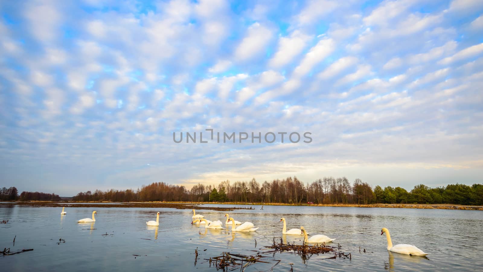 landscape with natural river, nature series