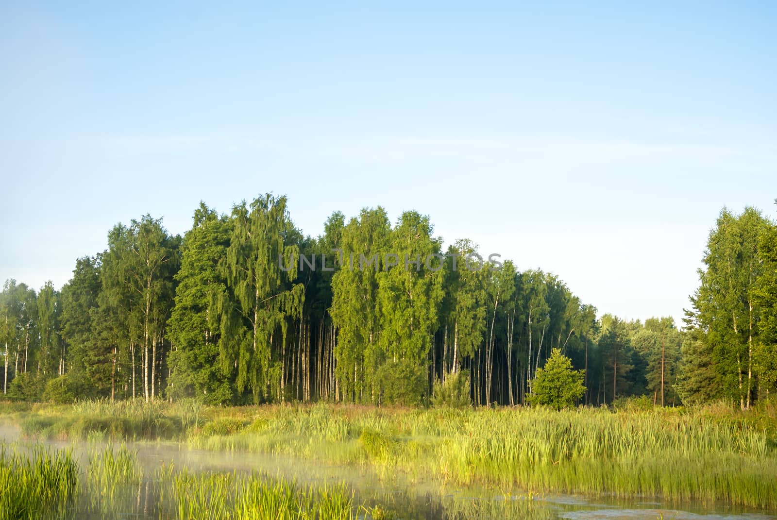 landscape with natural fogy river, nature series