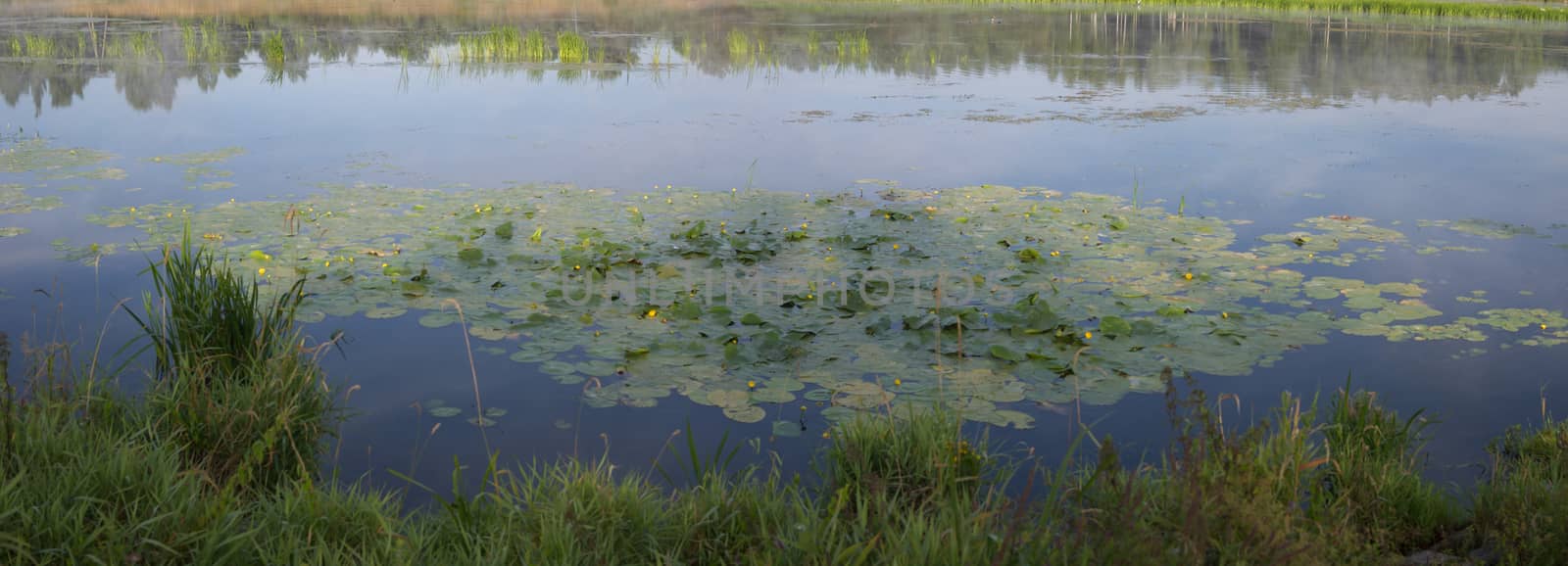 landscape with natural fogy river, nature series