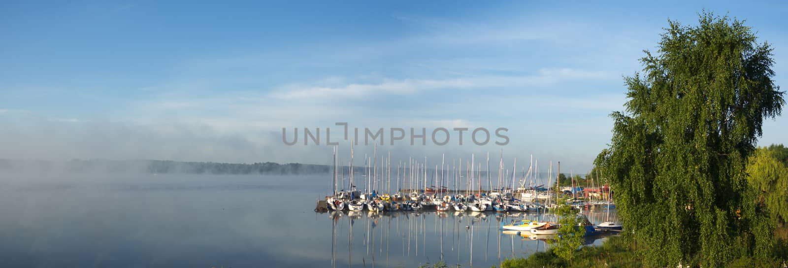 landscape with natural fogy river, nature series