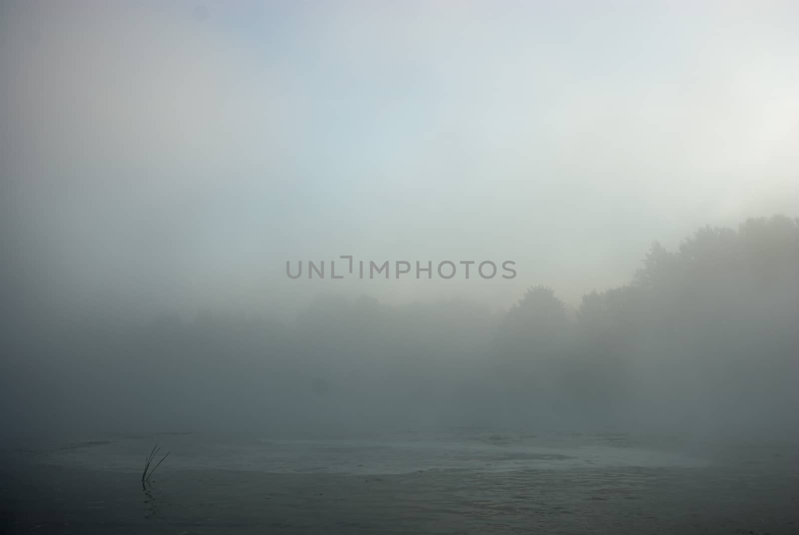 landscape with natural fogy river, nature series