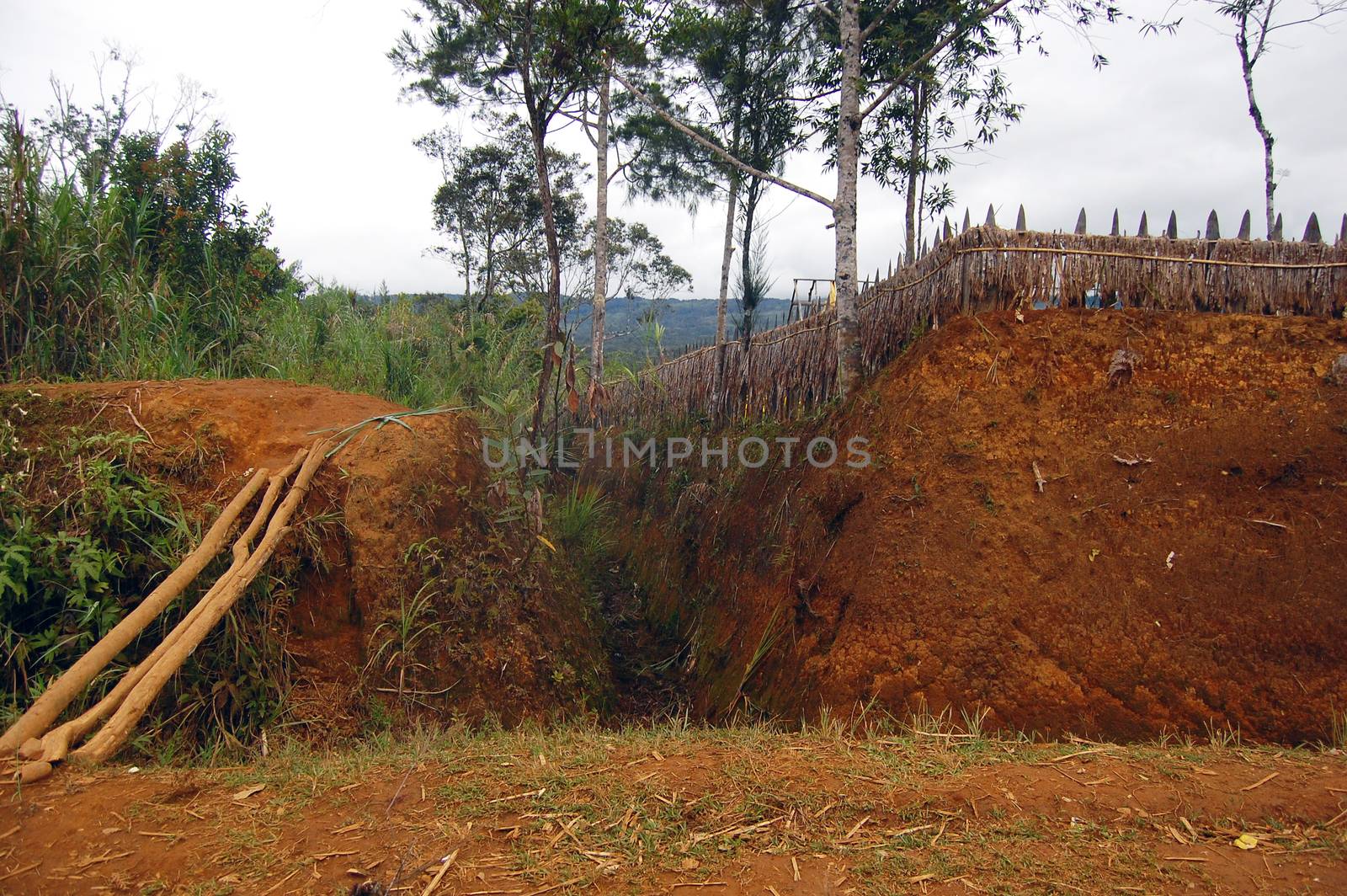 Village ditch with timber fence at rural area by danemo