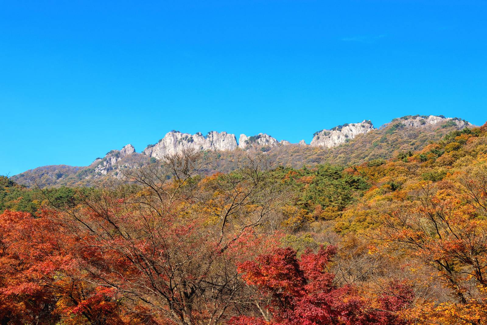 Seoraksan National Park in autumn,Korea. by gutarphotoghaphy