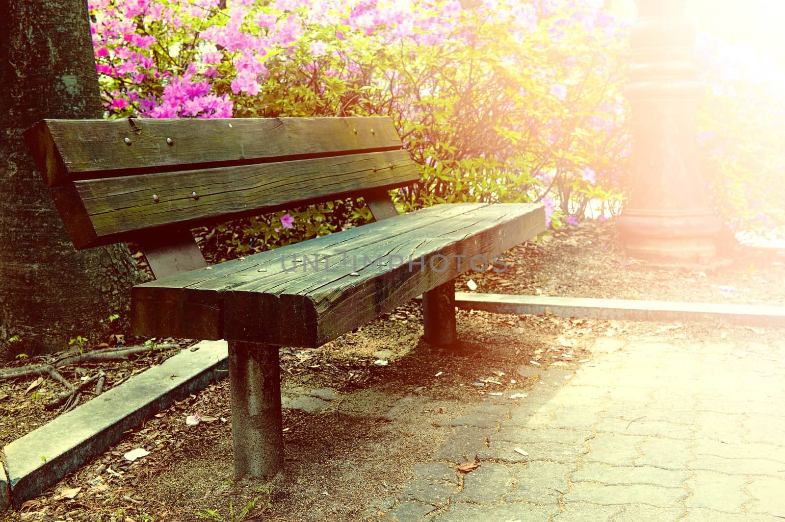 Wooden bench in park with vintage color.