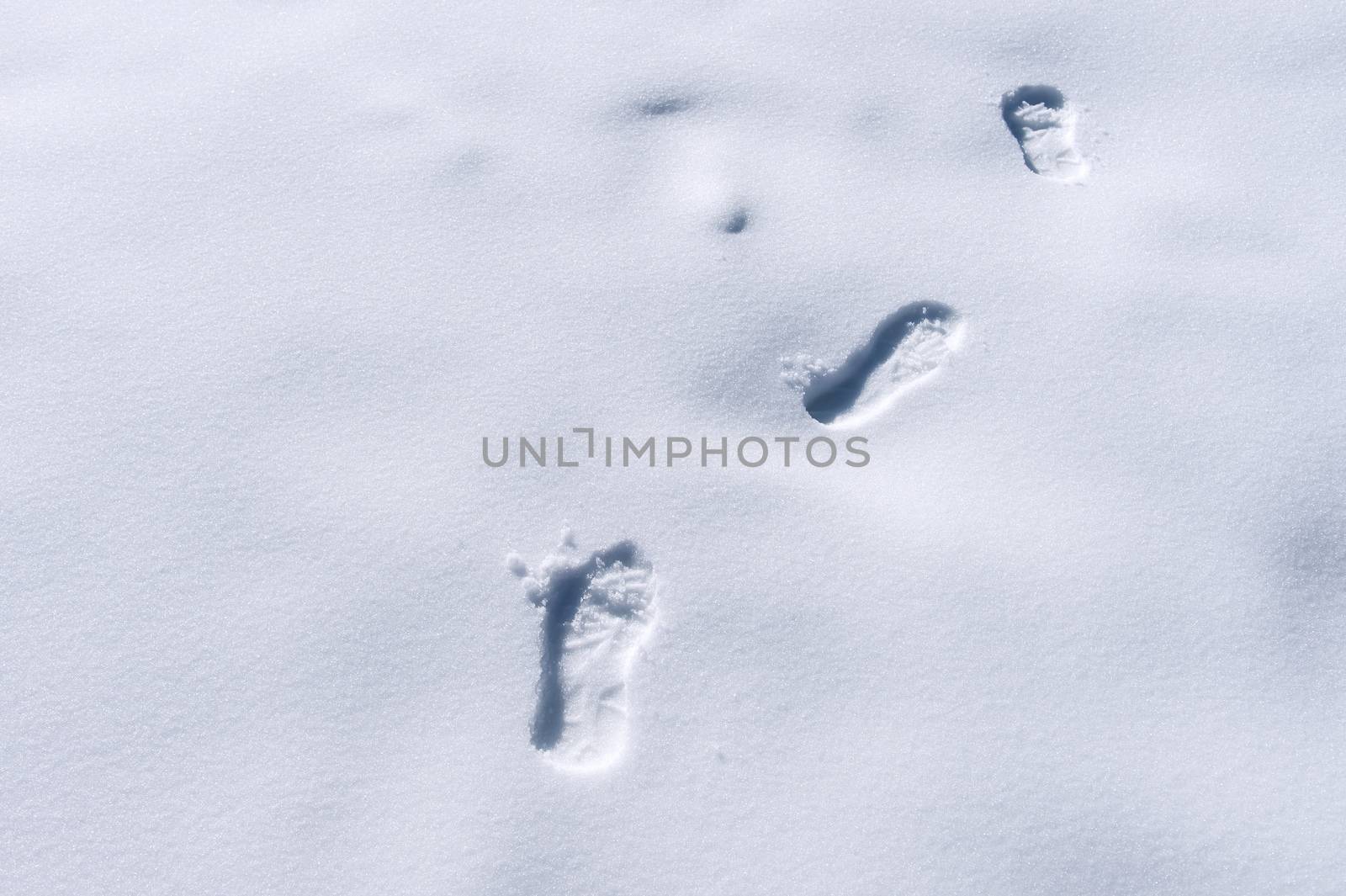 Footprints in snow. by gutarphotoghaphy