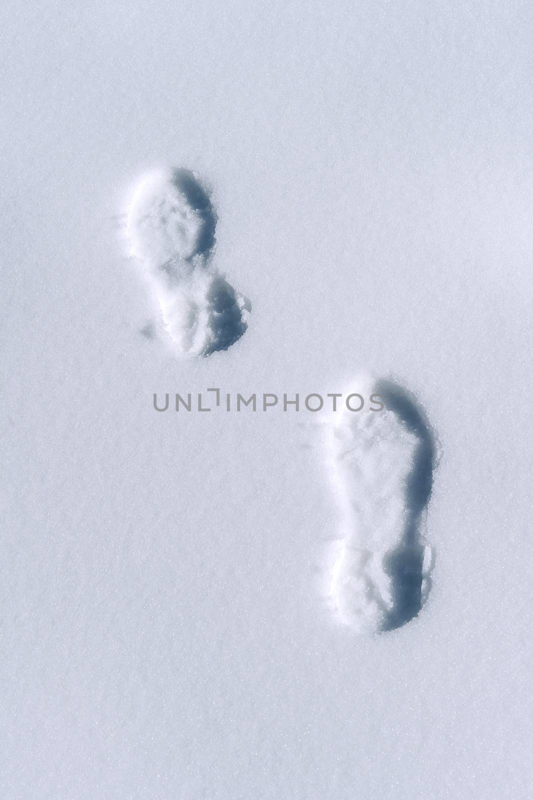 Footprints in snow. by gutarphotoghaphy