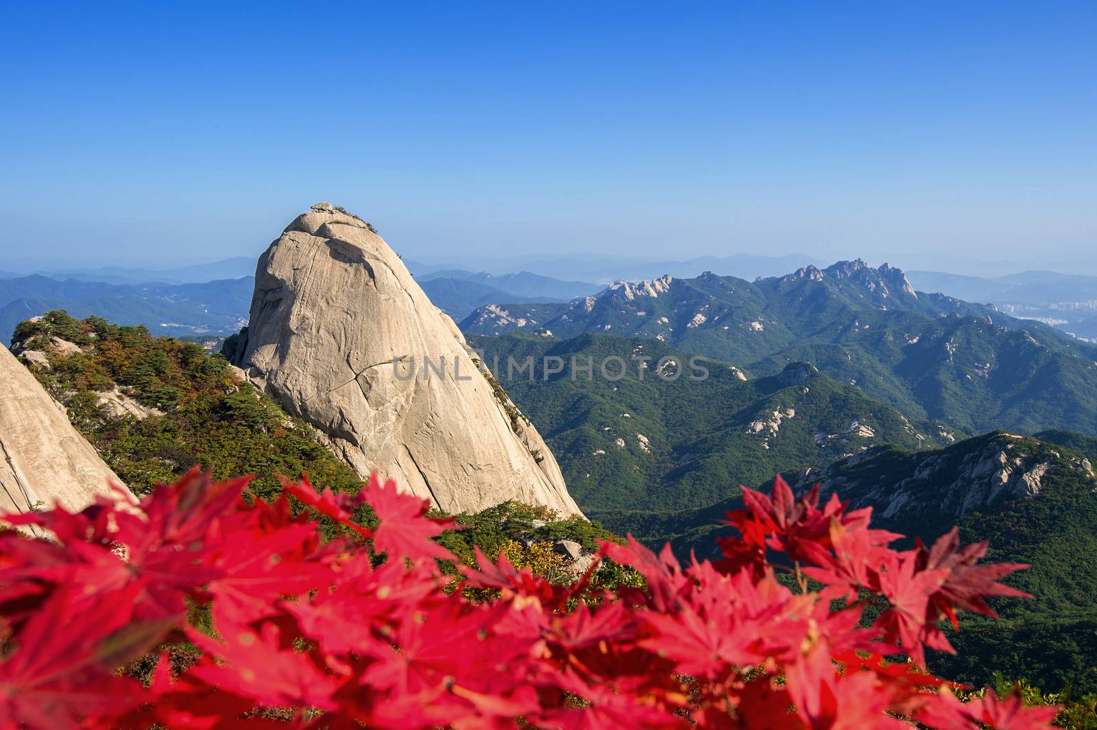 Baegundae peak and Bukhansan mountains in autumn,Seoul in South  by gutarphotoghaphy