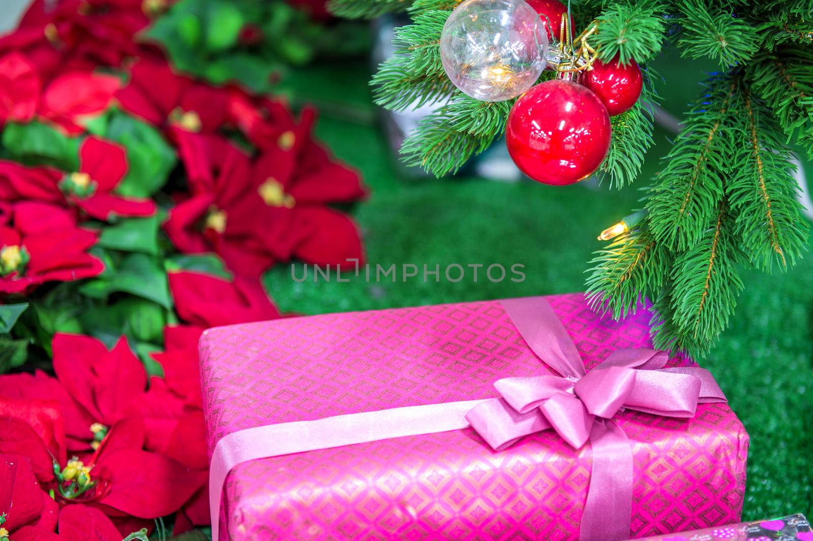 Chrismas background. by gutarphotoghaphy