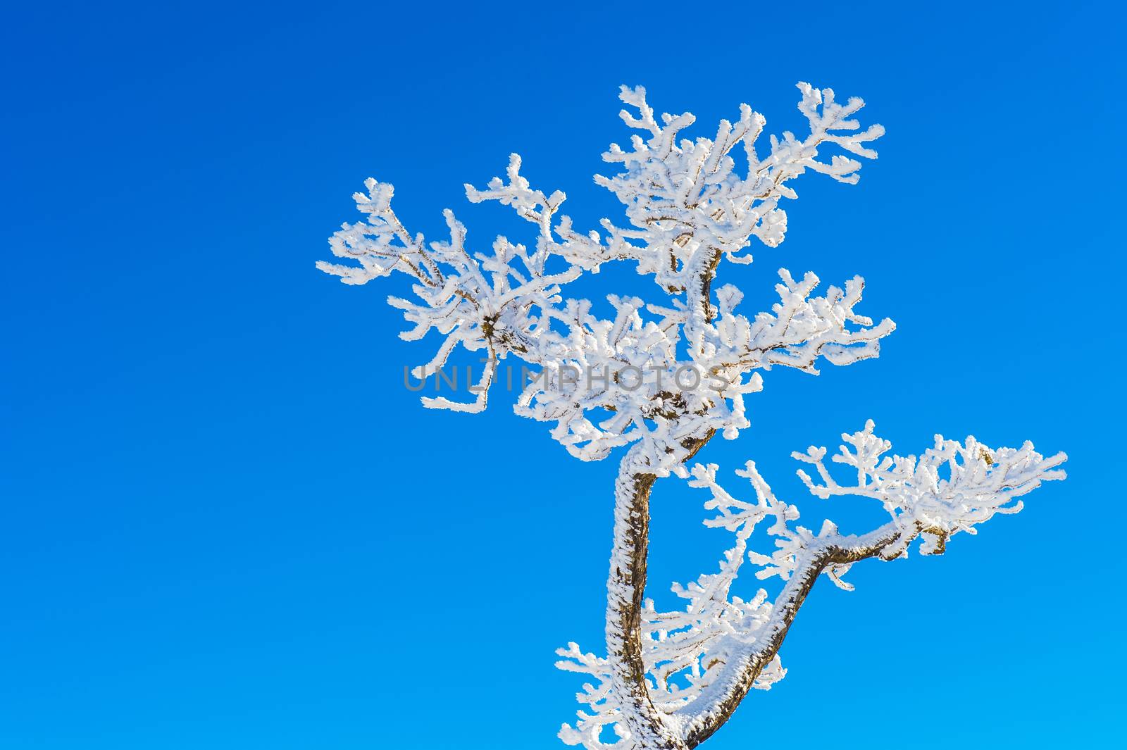 Deogyusan in winter,korea by gutarphotoghaphy