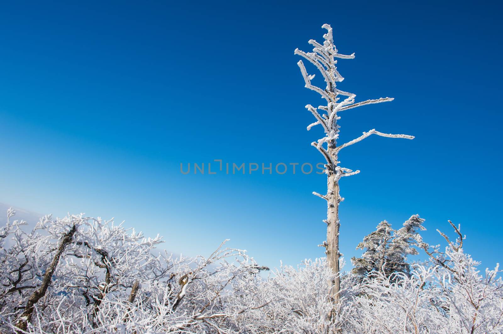 Deogyusan in winter,korea by gutarphotoghaphy