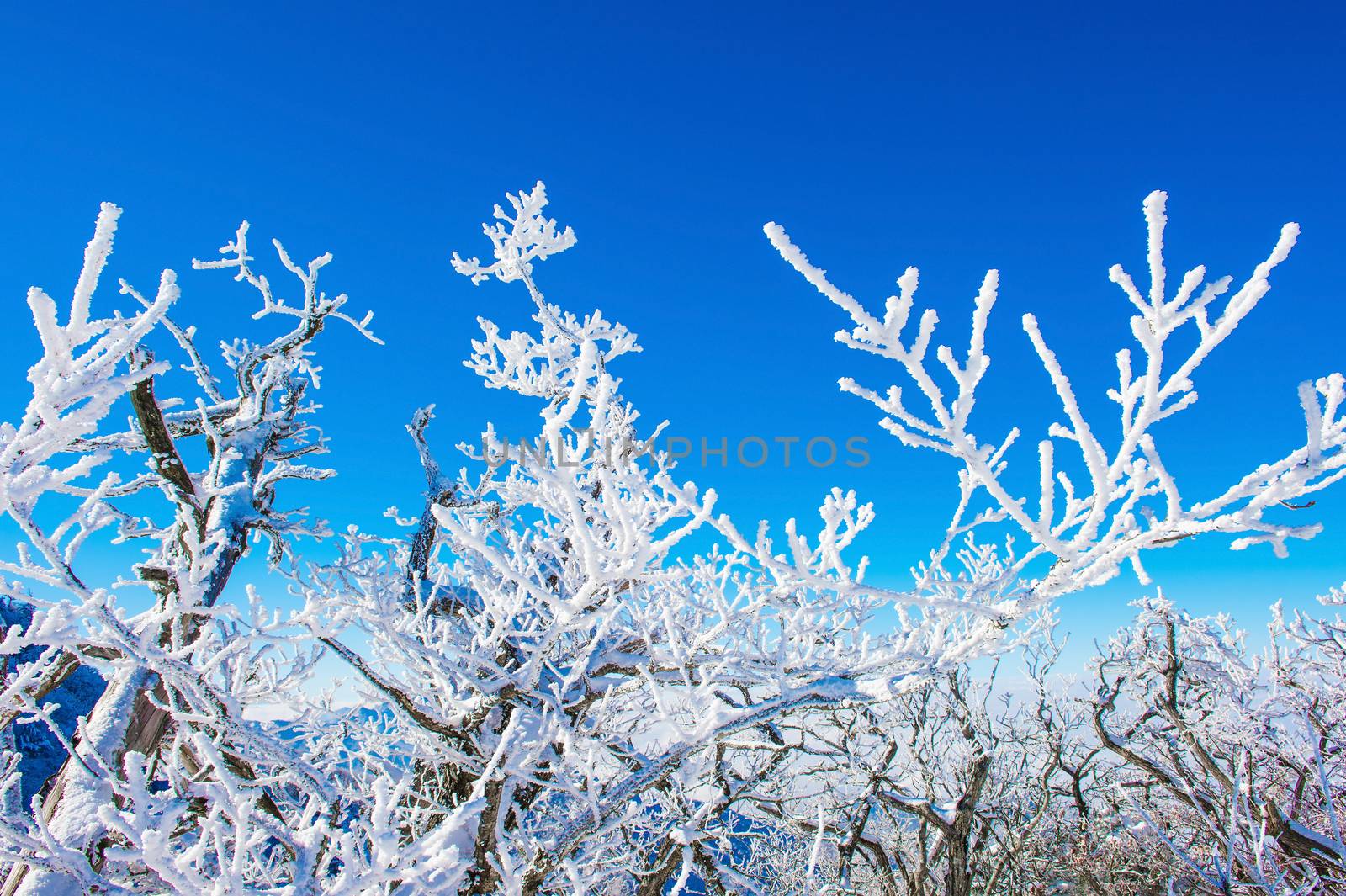 Landscape in winter,Deogyusan in korea