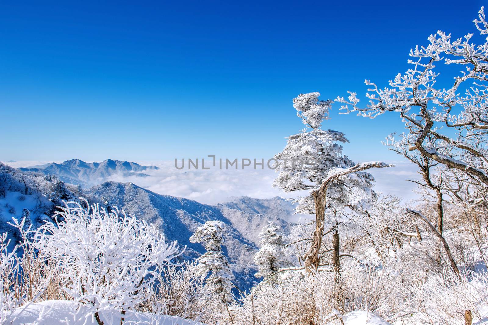 Seoraksan mountains is covered by morning fog in winter, Korea.