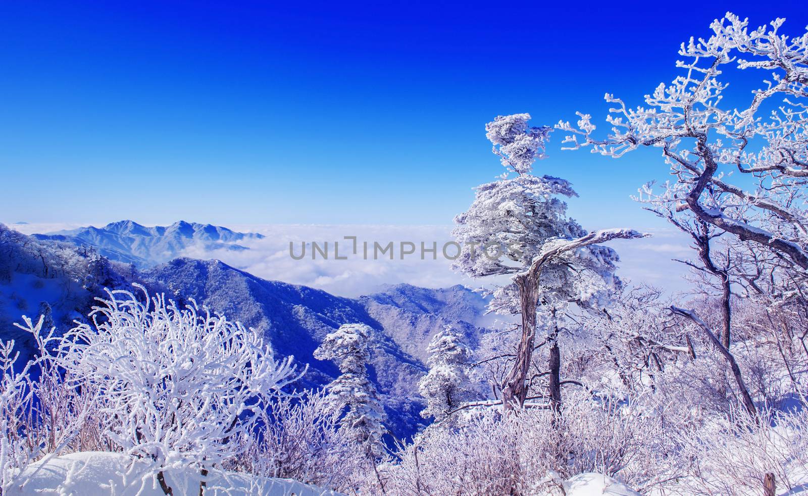 Landscape in winter,Deogyusan in korea