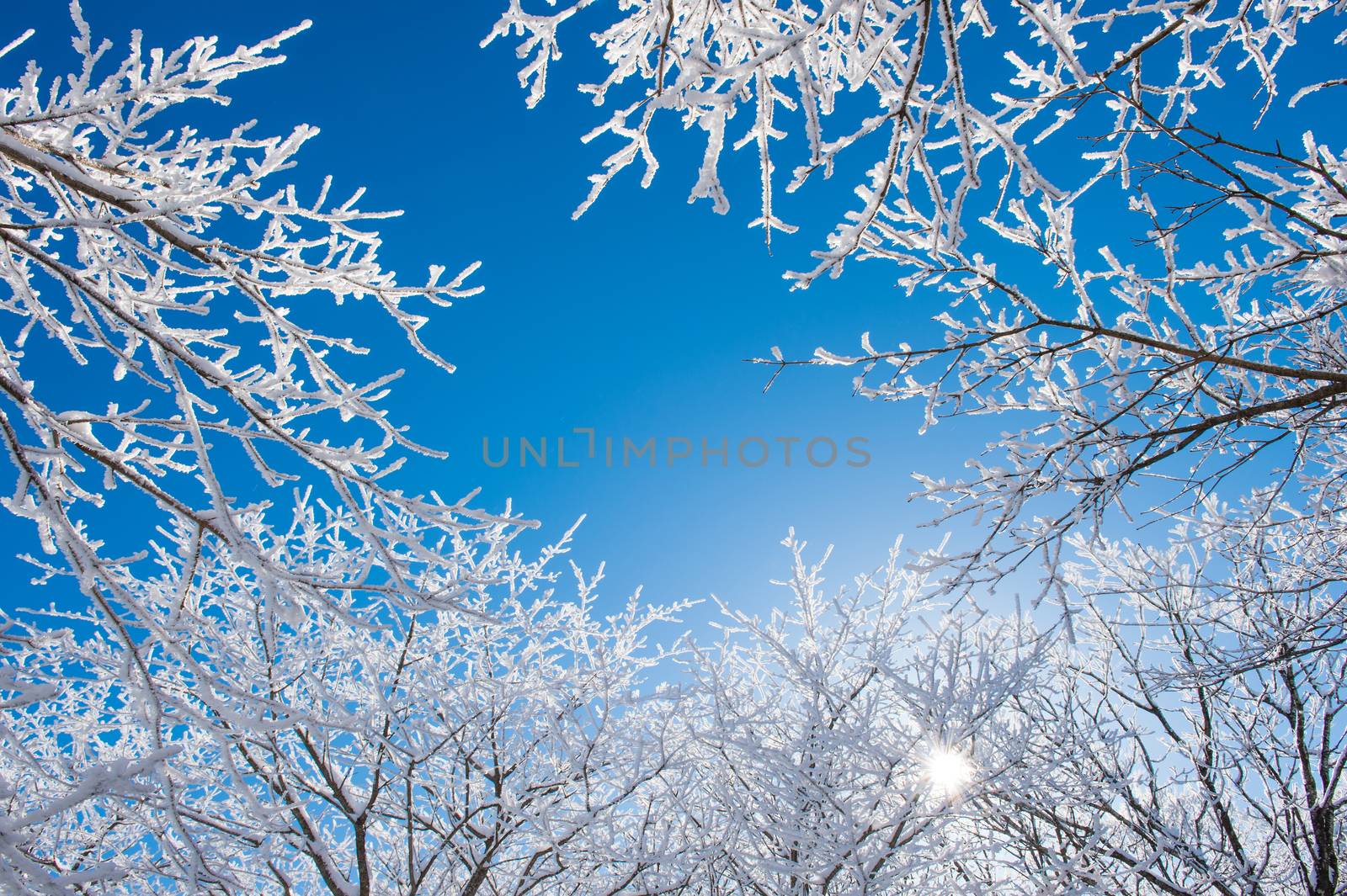 Deogyusan in winter,korea