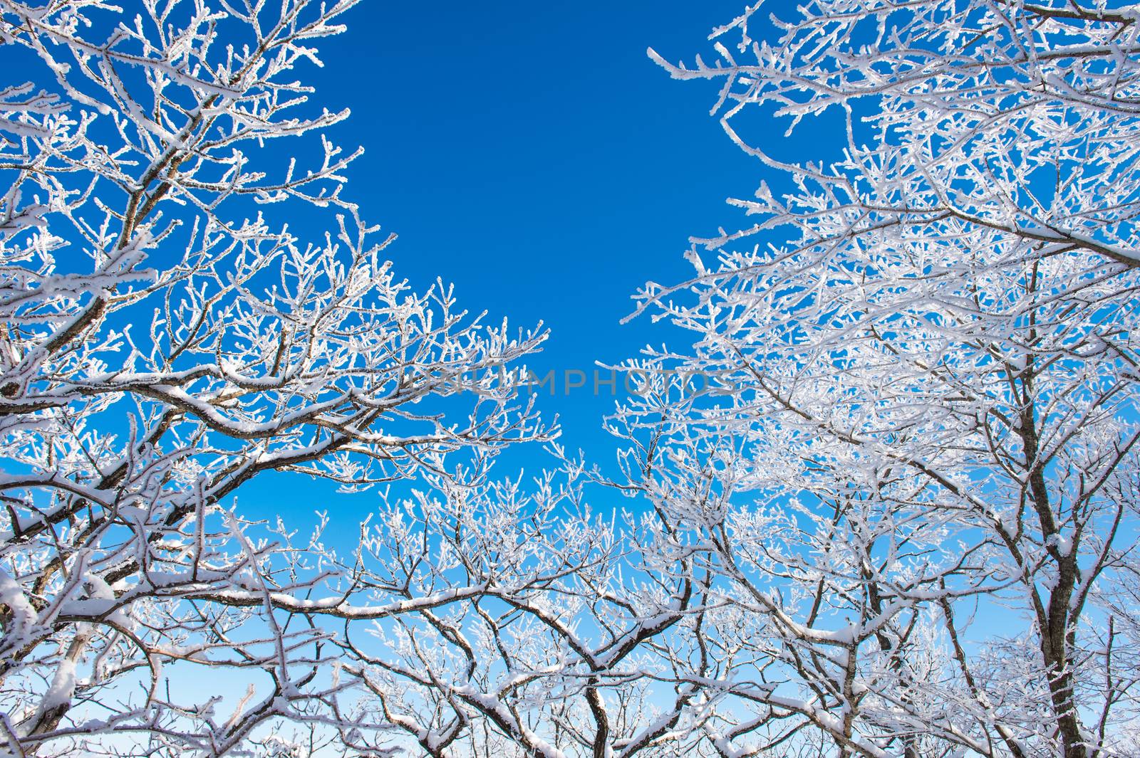 Landscape in winter,Deogyusan in korea by gutarphotoghaphy