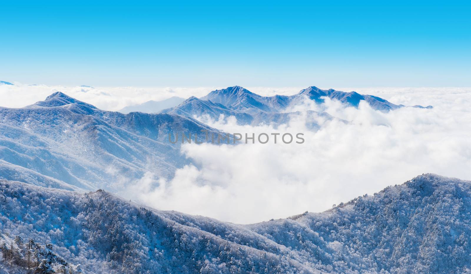 Landscape in winter,Deogyusan in korea