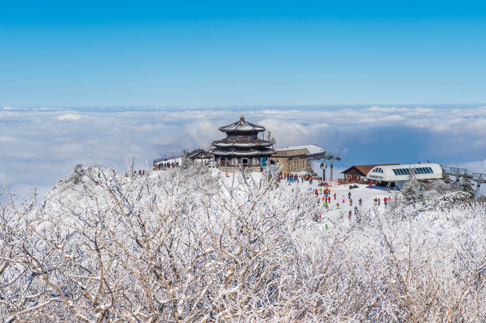 DEOGYUSAN,KOREA - JANUARY 23: Tourists taking photos of the beautiful scenery and skiing around Deogyusan,South Korea on January 23, 2015.