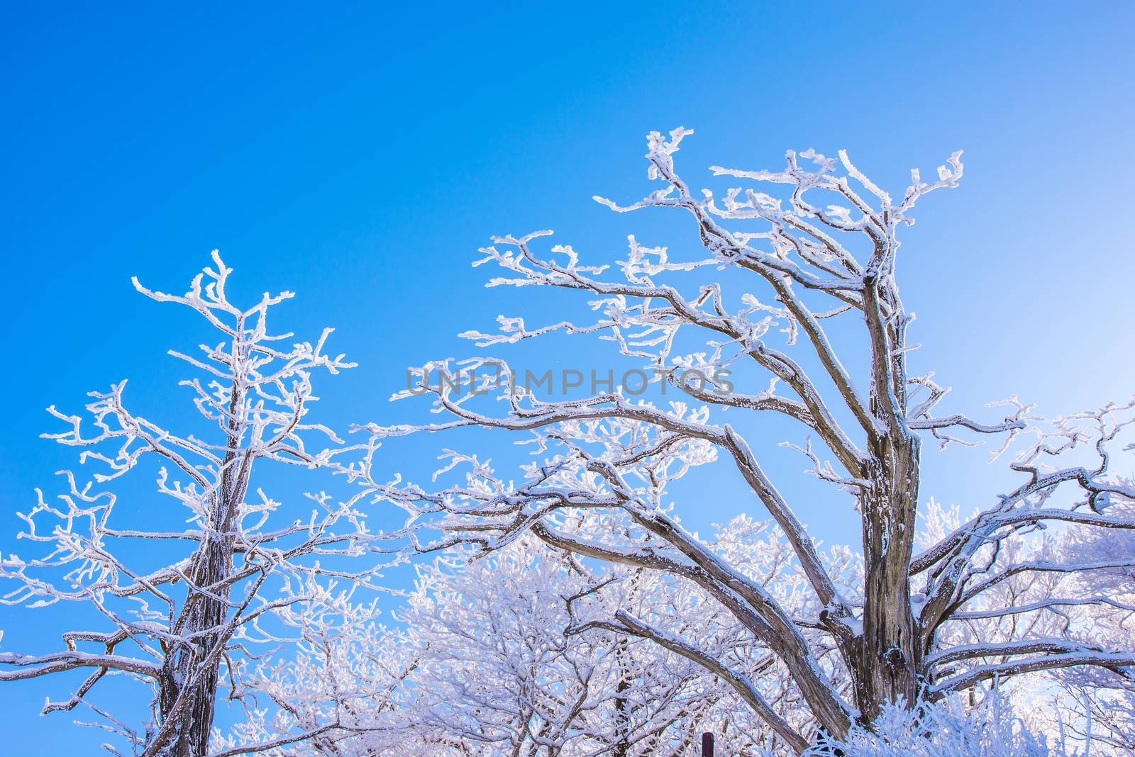 Landscape in winter,Deogyusan in korea