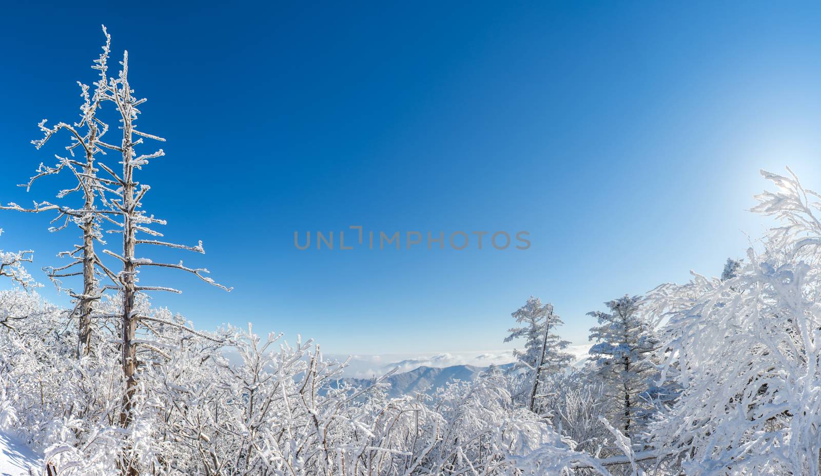 Panorama of winter,Deogyusan in korea by gutarphotoghaphy