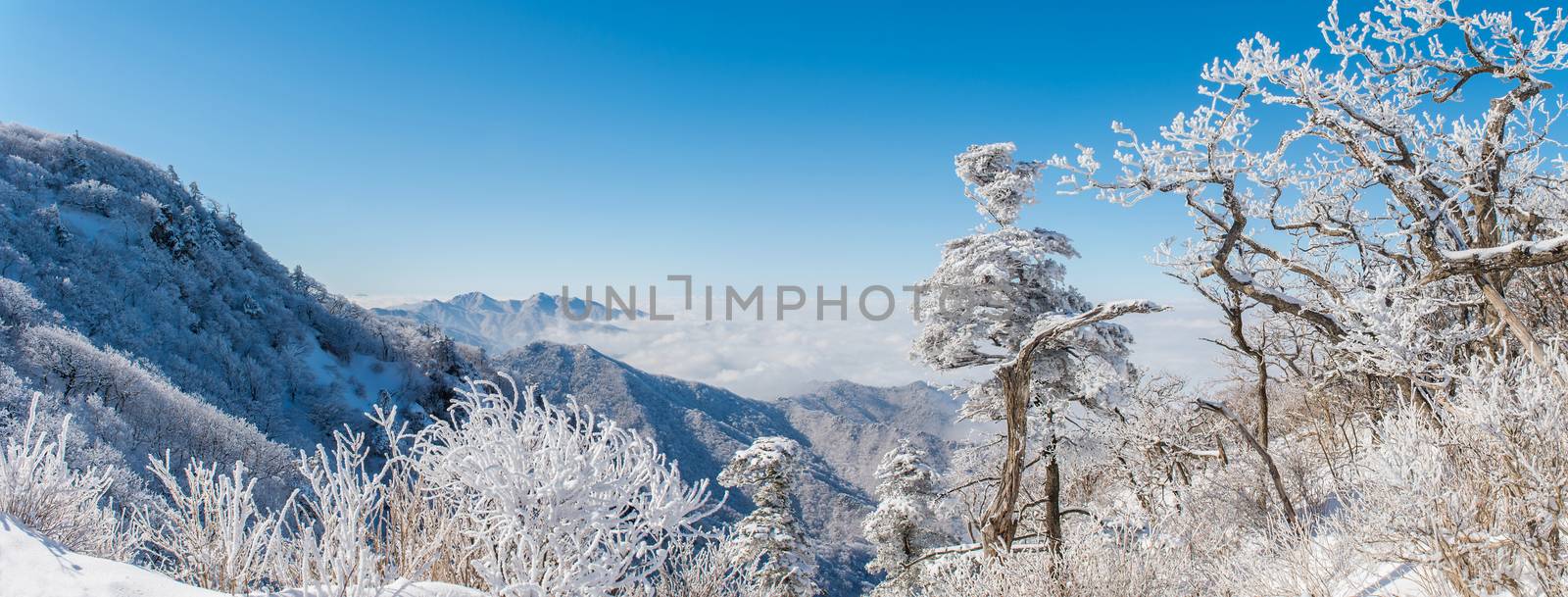 Panorama of winter,Deogyusan in korea