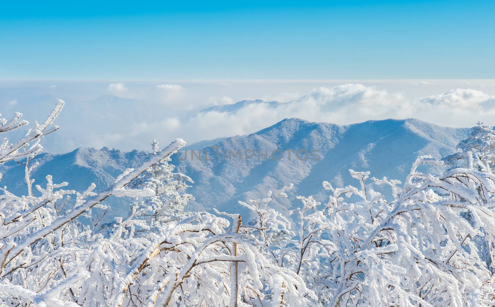 Deogyusan in winter,korea