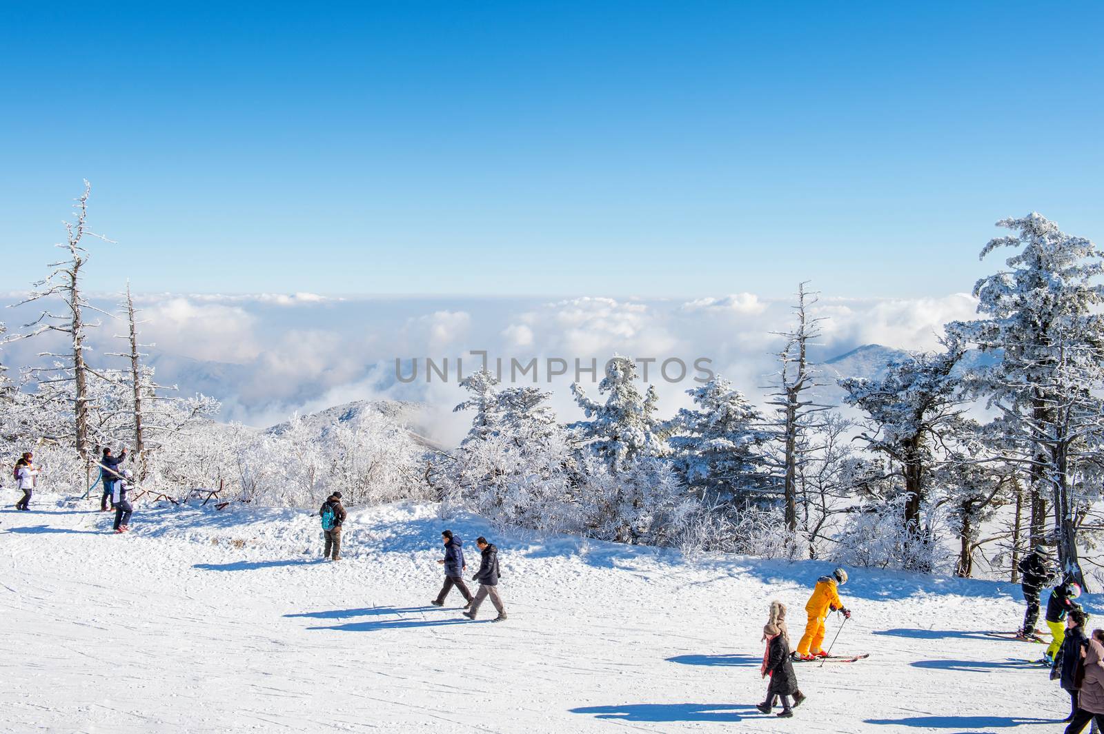 Tourists taking photos of the beautiful scenery and skiing around Deogyusan,South Korea. by gutarphotoghaphy