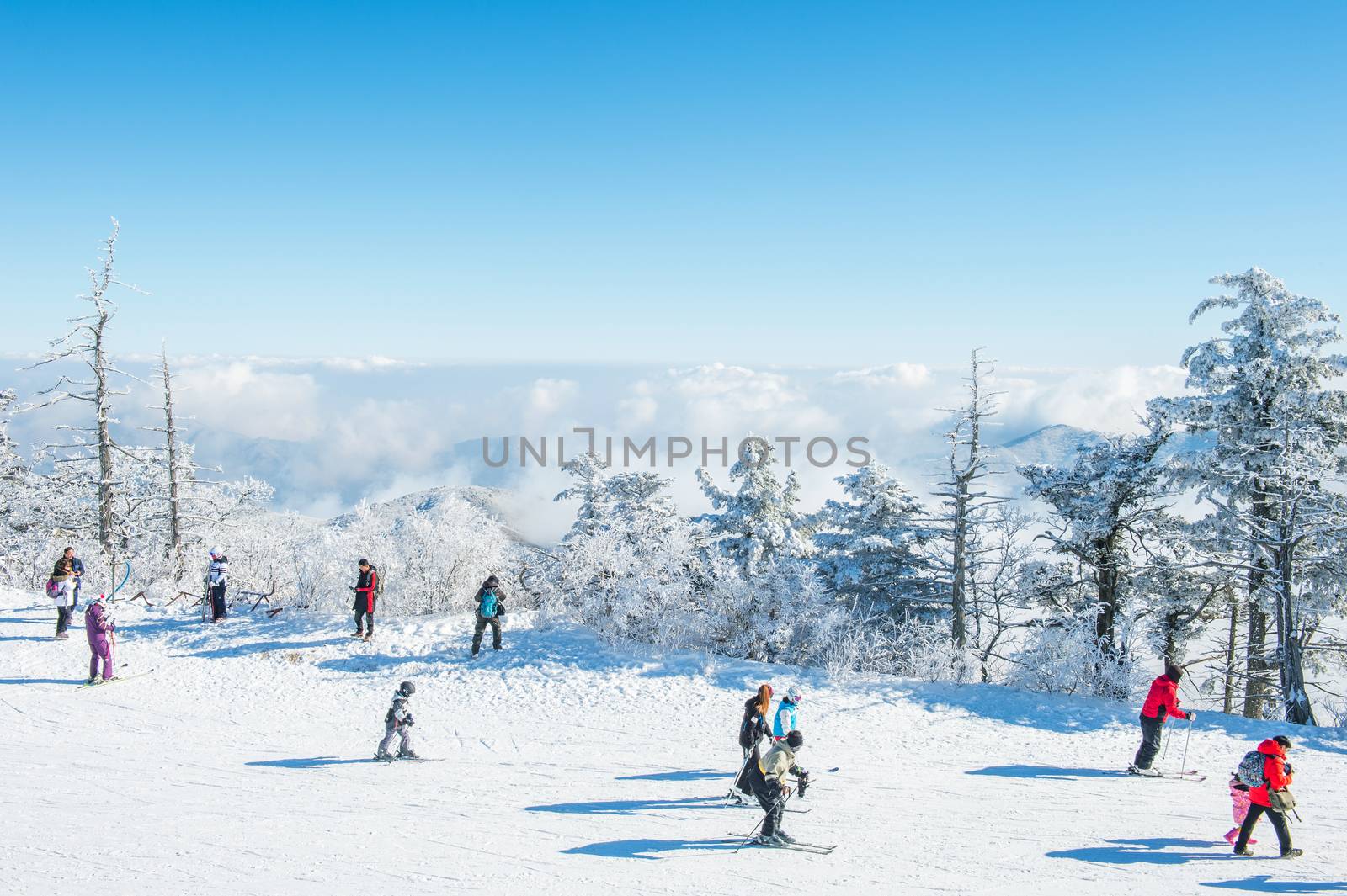 DEOGYUSAN,KOREA - JANUARY 23: Tourists taking photos of the beautiful scenery and skiing around Deogyusan,South Korea on January 23, 2015.