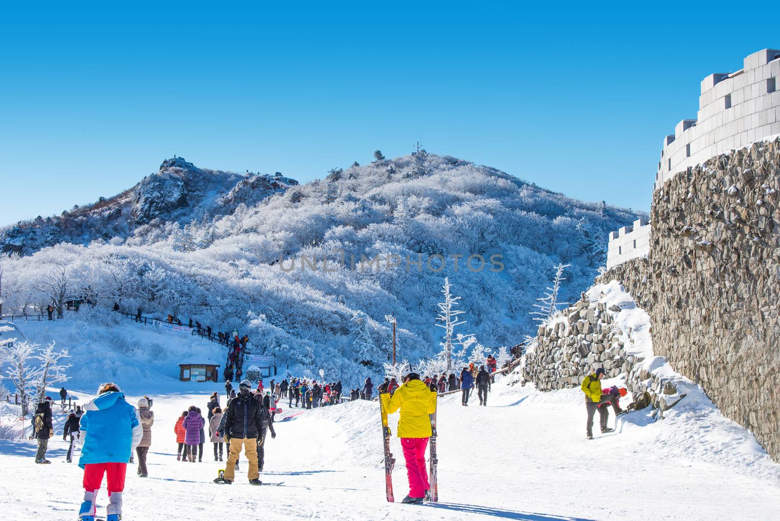 DEOGYUSAN,KOREA - JANUARY 23: Tourists taking photos of the beautiful scenery and skiing around Deogyusan,South Korea on January 23, 2015.