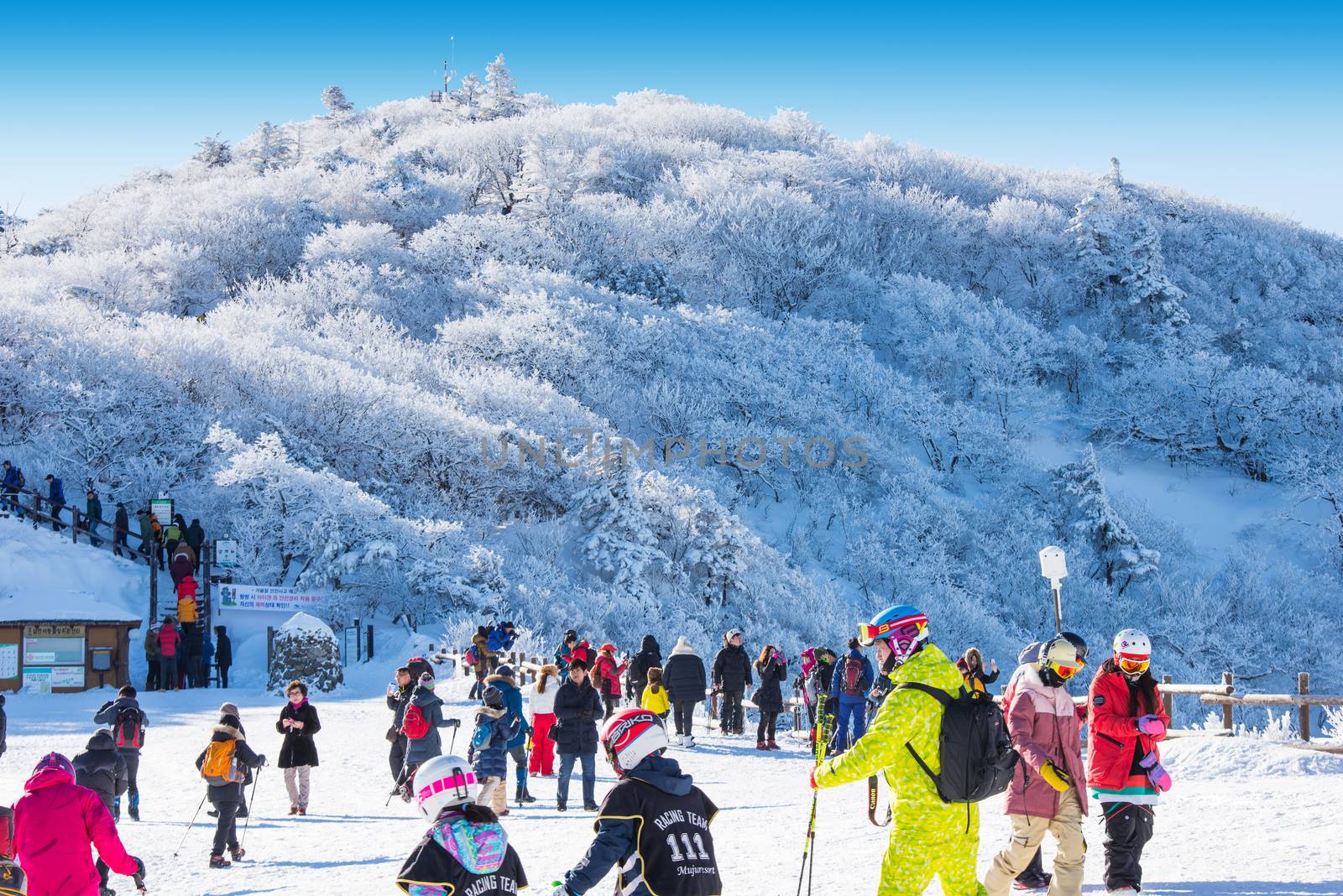 DEOGYUSAN,KOREA - JANUARY 23: Tourists taking photos of the beautiful scenery and skiing around Deogyusan,South Korea on January 23, 2015.