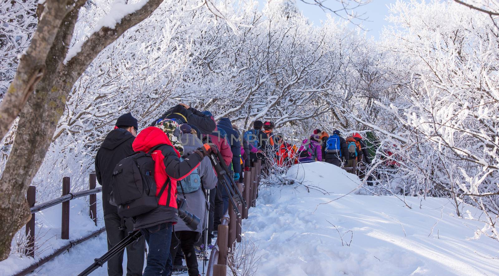 DEOGYUSAN,KOREA - JANUARY 23: Tourists taking photos of the beautiful scenery around Deogyusan,South Korea on January 23, 2015.